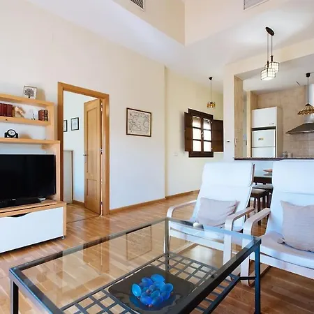 Amazing Penthouse In Triana With Jacuzzi Centro Appartement Séville